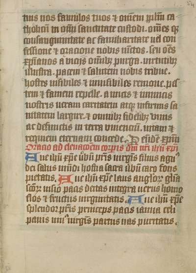 Pagina di testo decorata da Unknown artist