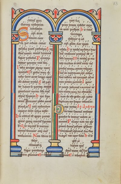 Pagina di testo decorata da Unknown artist