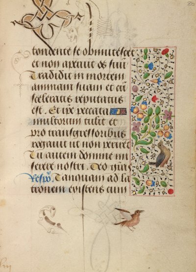 Pagina di testo decorata da Unknown artist