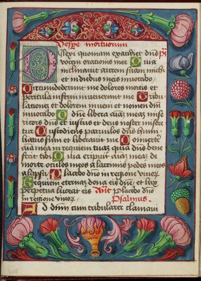 Pagina di testo decorata da Unknown artist