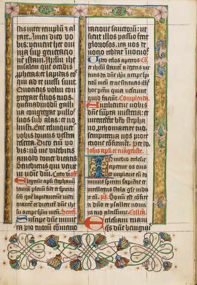 Pagina di testo decorata da Unknown artist
