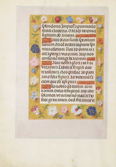 Pagina di testo decorata da Unknown artist