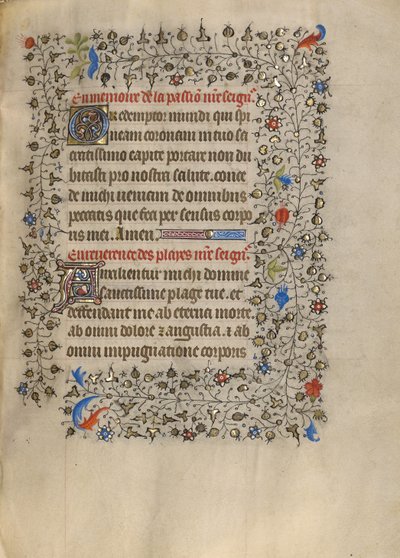 Pagina di testo decorata da Unknown artist