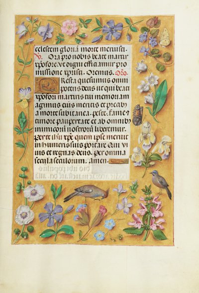 Pagina di testo decorata da Unknown artist