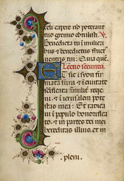 Pagina di testo decorata da Unknown artist
