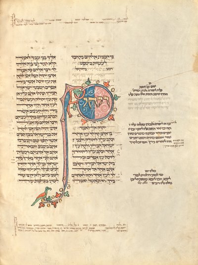 Pagina di testo decorata da Unknown artist