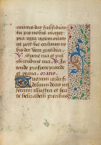 Pagina di testo decorata da Unknown artist