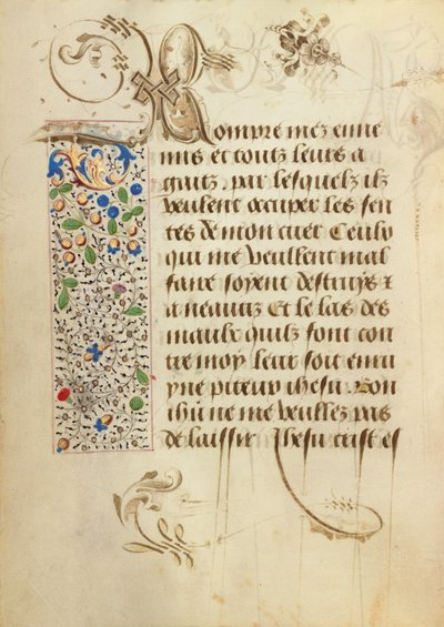 Pagina di testo decorata da Unknown artist