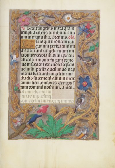 Pagina di testo decorata da Unknown artist