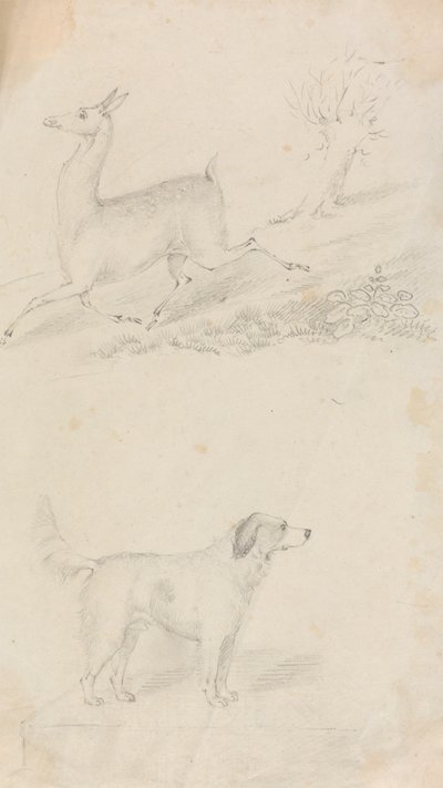 Cervo e Cane da Unknown artist