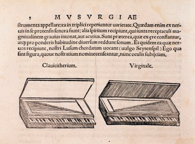 Descrizione di clavicembalo e spinetta. Pagina da Musurgia seu praxis musicae da Unknown artist