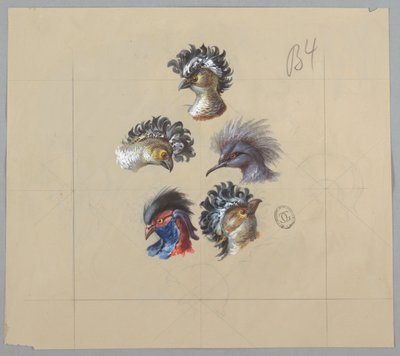 Design per carta da parati e tessuti: Uccelli da Unknown artist