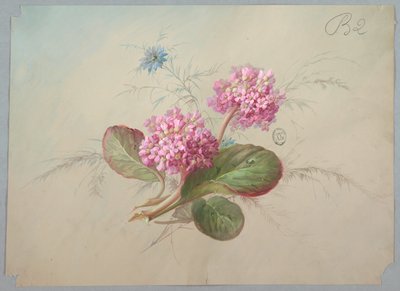 Design per carta da parati e tessuti: Fiori da Unknown artist