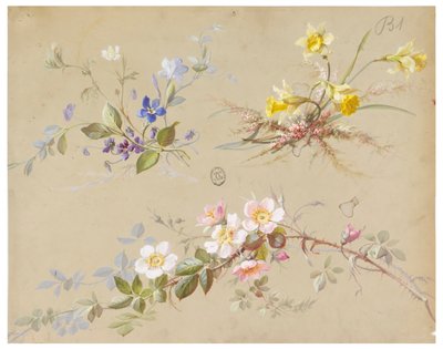 Disegno per Carta da Parati e Tessuti: Fiori da Unknown artist