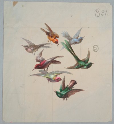 Disegno per carta da parati e tessuti: Uccelli da Unknown artist