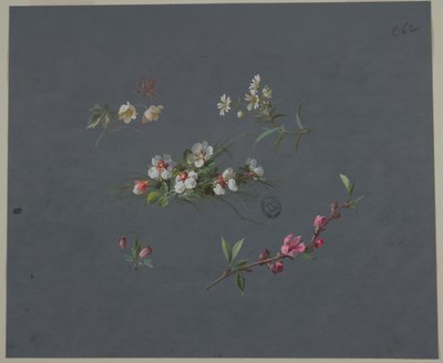 Progetto per Carta da Parati e Tessuti: Fiori da Unknown artist