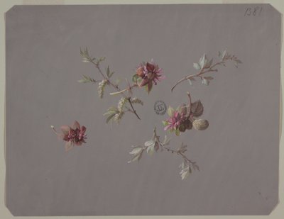Design per carta da parati e tessuti: Fiori da Unknown artist