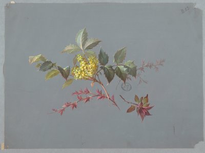Disegno per carta da parati e tessuti: Fiori da Unknown artist