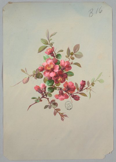 Progetto per carta da parati e tessuti: Fiori da Unknown artist