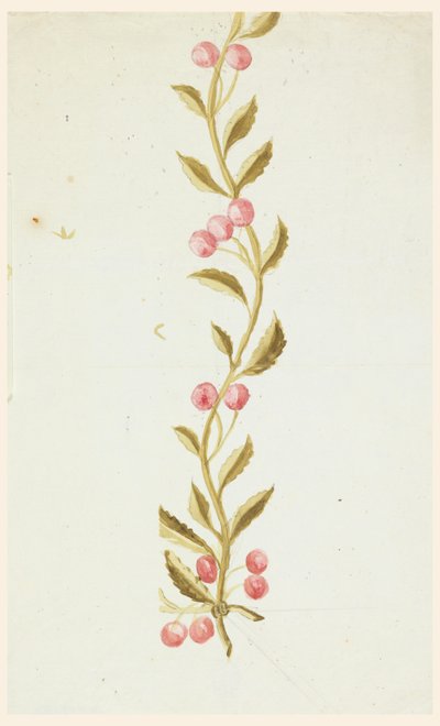 Progetto per bordi tessuti o ricamati da Unknown artist