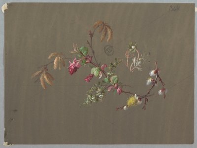 Progetti per carta da parati e tessuti: Fiori da Unknown artist