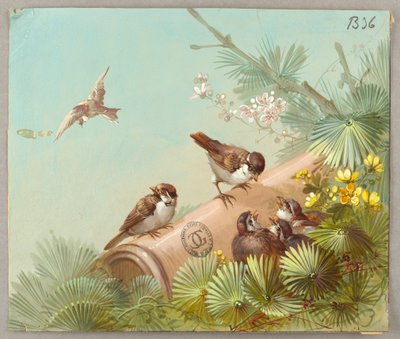 Disegni per carta da parati e tessuti: fiori e uccelli da Unknown artist