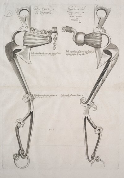 Diagramma per il morso del cavallo da Unknown artist