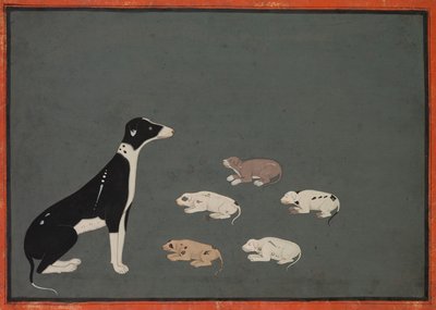Cane con cuccioli da Unknown artist