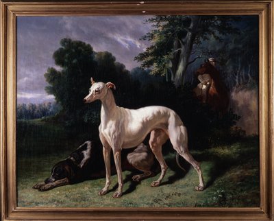 Cani (Levary) da Unknown artist