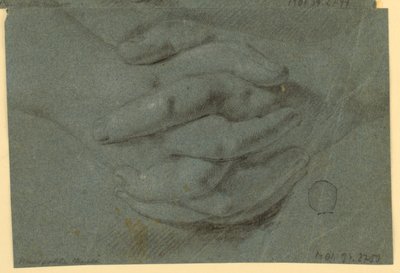 Disegno: Studio per mani giunte da Unknown artist