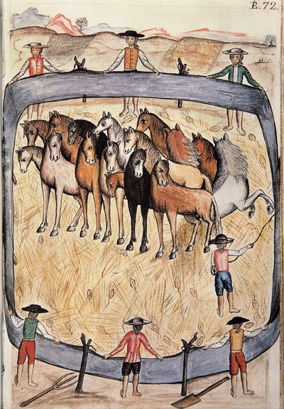 Addestramento di cavalli selvaggi, dal libro "Trujillo del Peru" o "Codice Martínez Compañón", di Baltazar Martinez Compañón y Bujanda, vescovo di Trujillo (1782-1785) da Unknown artist