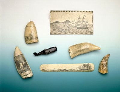 Dente di capodoglio inciso, metà del XIX secolo da Unknown artist