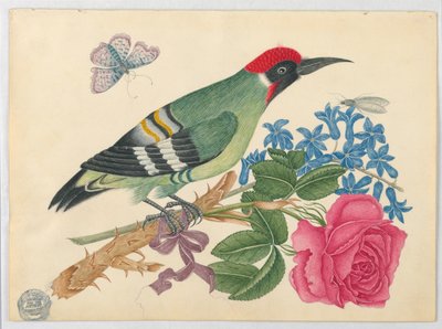 Picchio verde europeo su ramo con rosa e nontiscordardimé da Unknown artist