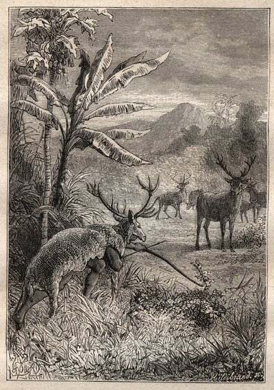 Spedizione intorno al mondo (1785-1788) di Jean François Galaup de La Pérouse (1741-1788): tecnica di caccia degli indiani della Baia di Monterey (California) - illustrazione tratta da 