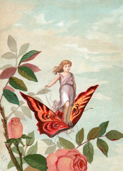Fata che cavalca una farfalla tra le rose da Unknown artist