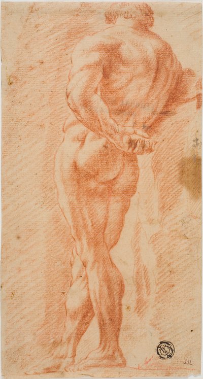 Ercole Farnese da Unknown artist