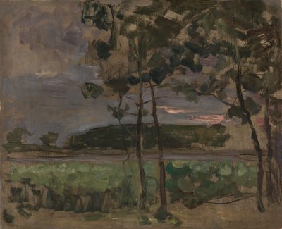 Campo con Giovani Alberi in Primo Piano da Unknown artist