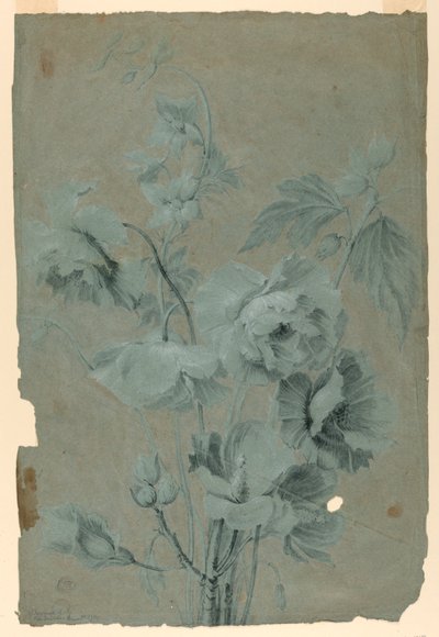 Design floreale da Unknown artist