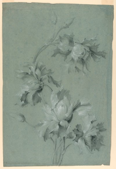 Disegno floreale da Unknown artist