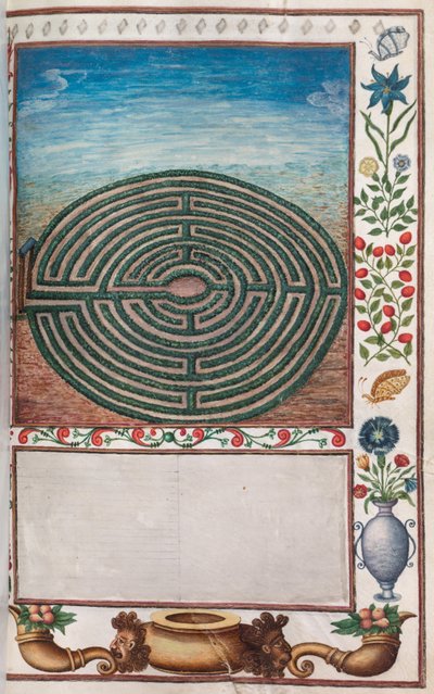Florilegium: (pagina 15 recto) giardino labirinto da Unknown artist