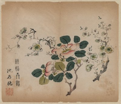 Prunus in fiore da Unknown artist