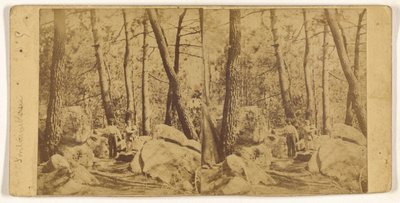 [Fontainebleau] da Unknown artist