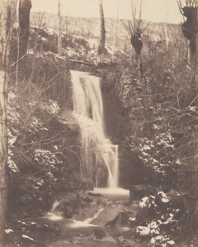 [Scena di foresta con cascata e ruscello] da Unknown artist