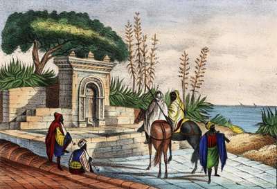 Fontana vicino ad Algeri da Unknown artist