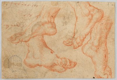 Quattro studi di un piede da Unknown artist