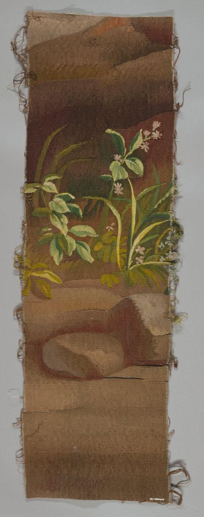 Frammento da Unknown artist