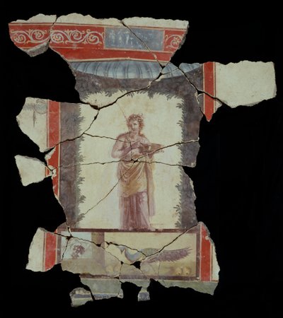 Frammento fresco da Unknown artist