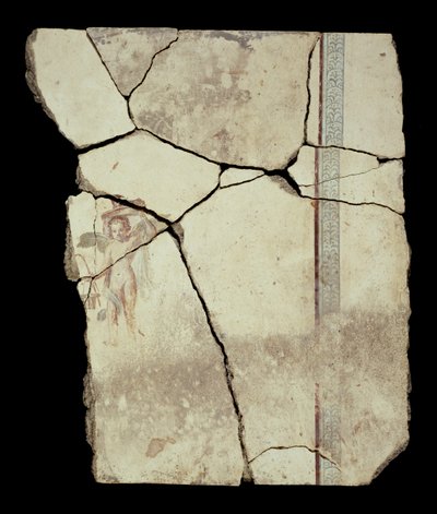 Frammento fresco da Unknown artist