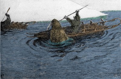 Fridtjof Nansen (1861-1930), esploratore norvegese, attaccato da un tricheco durante la spedizione al Polo Nord nel 1896. Porta la slitta sul kayak. Incisione del XIX secolo da Unknown artist