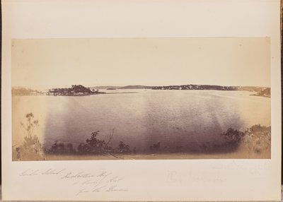 Garden Island, Rushcutters Bay e Darling Point dal Dominio da Unknown artist
